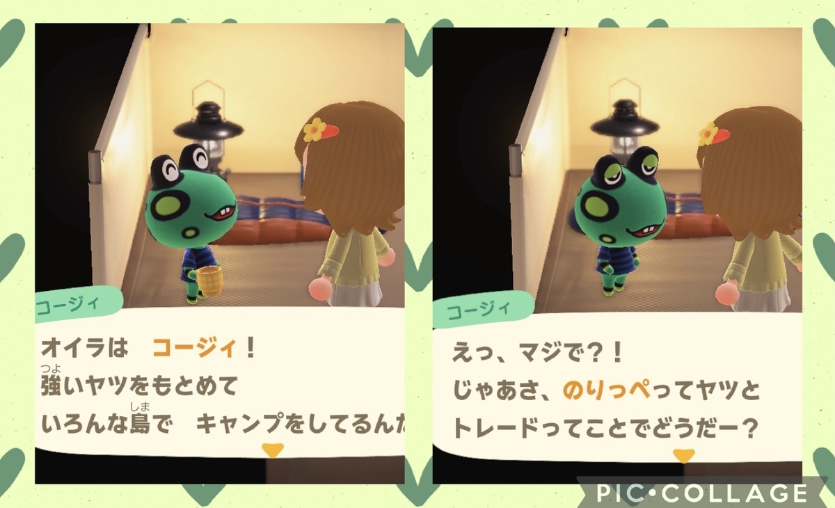 あつ森コージィとマールがやって来た - あつ森を自由に楽しむ 