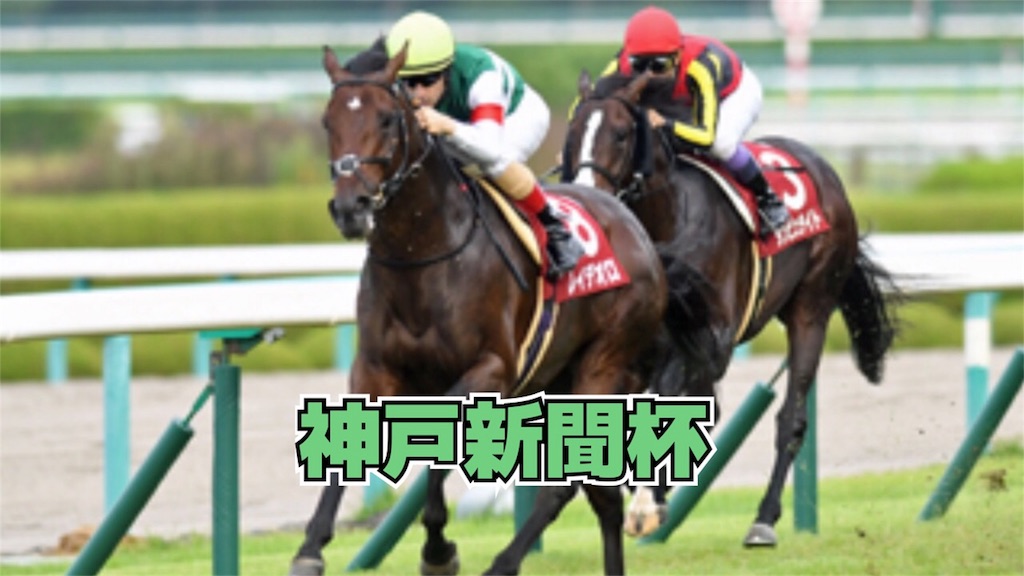 f:id:dms171:20180918113154j:image