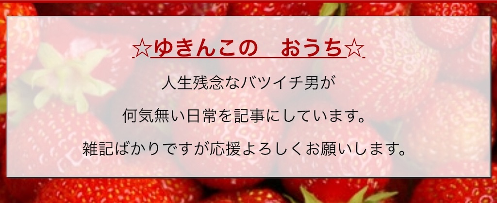 f:id:dms171:20190302232420j:image