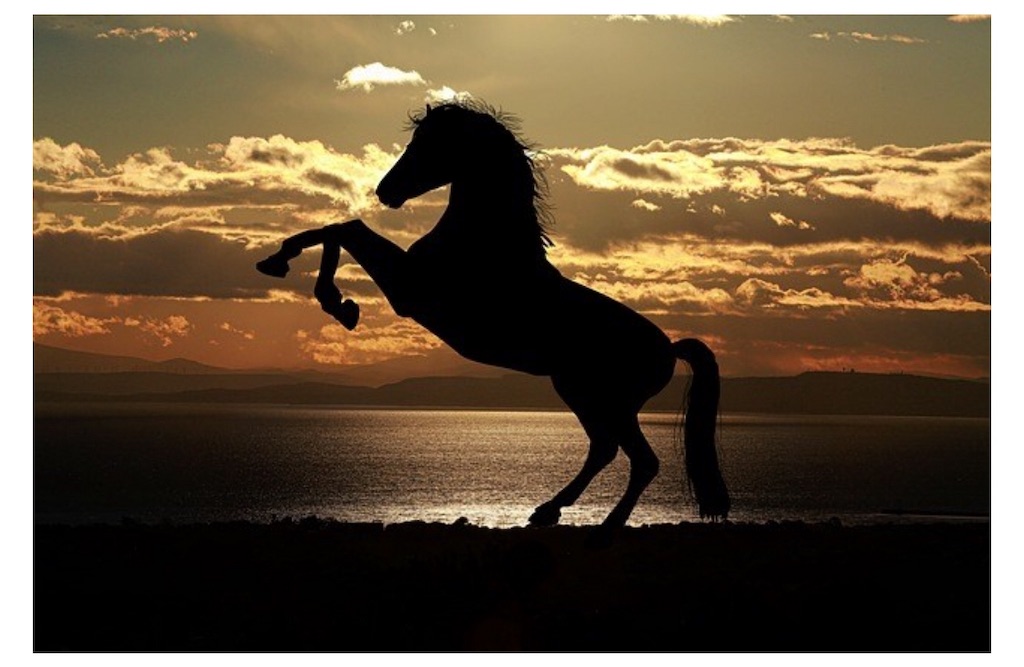 f:id:dms171:20190303005122j:image