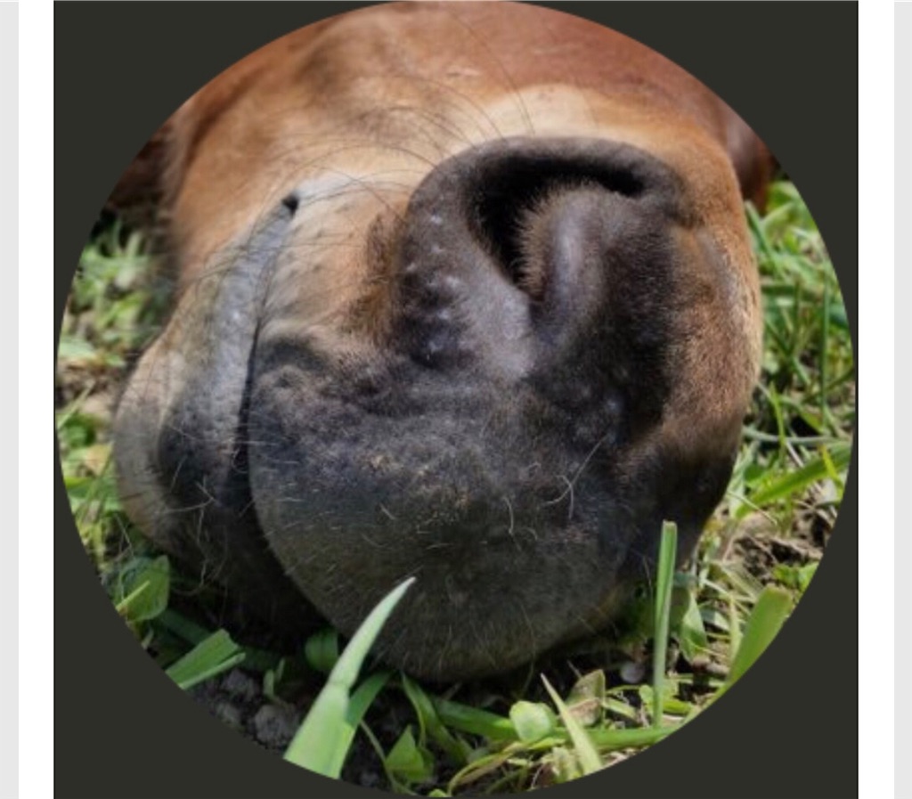 f:id:dms171:20190706162354j:image