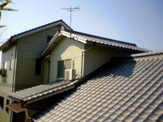 f:id:dmx96284:20100605082150j:image