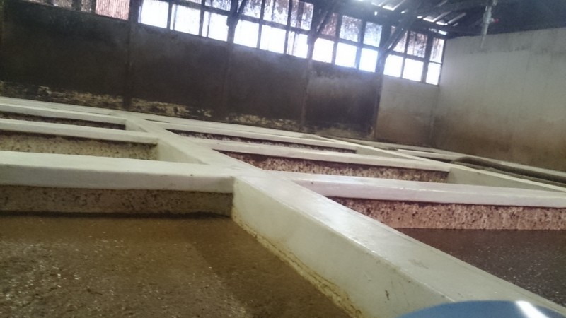 f:id:dmx96284:20180616113140j:image