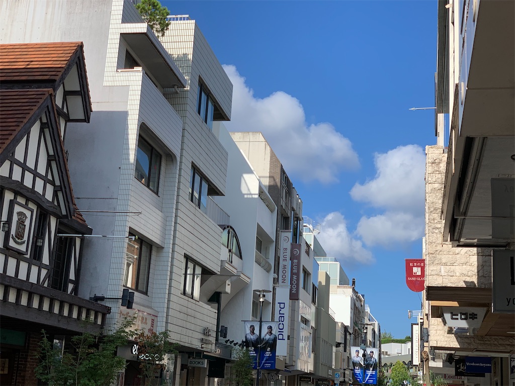 f:id:dnatsume:20200828180043j:image f:id:dnatsume:20200828180043j:image