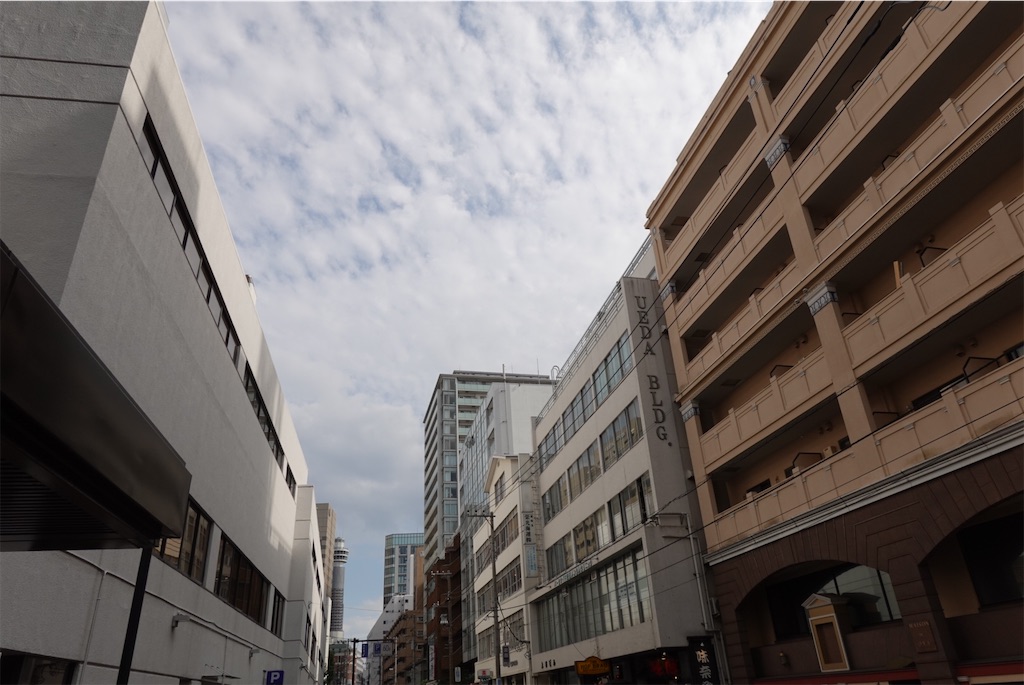 f:id:dnatsume:20201006164854j:image