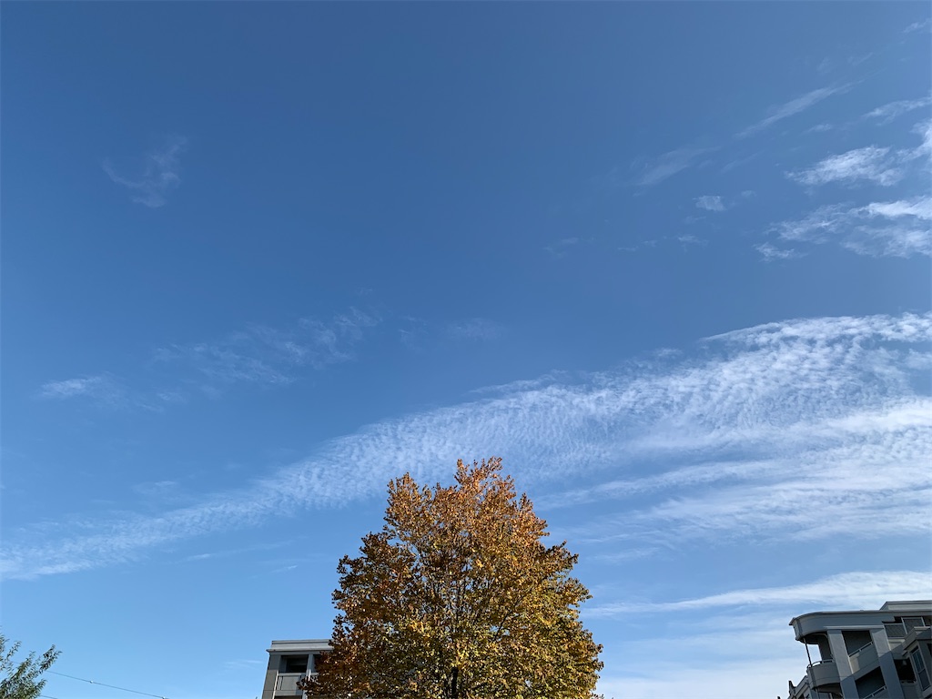 f:id:dnatsume:20201020153659j:image f:id:dnatsume:20201020153659j:image