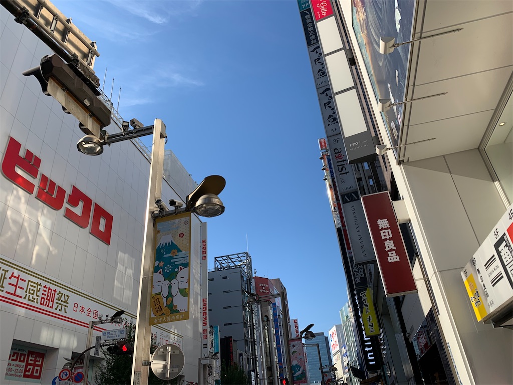 f:id:dnatsume:20201130163107j:image