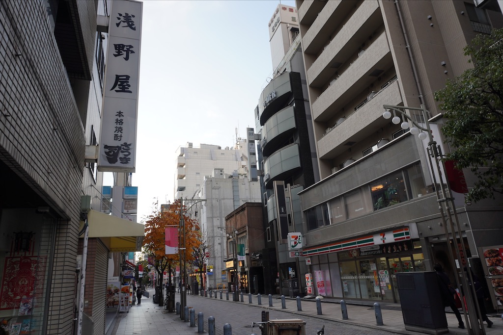 f:id:dnatsume:20201227191414j:image
