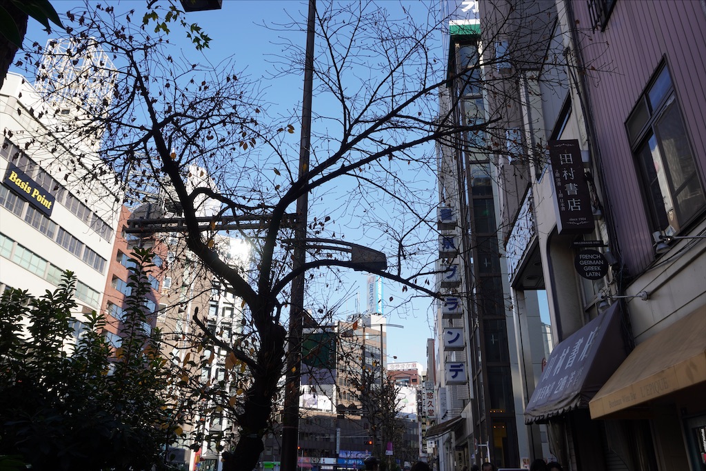 f:id:dnatsume:20201227191419j:image