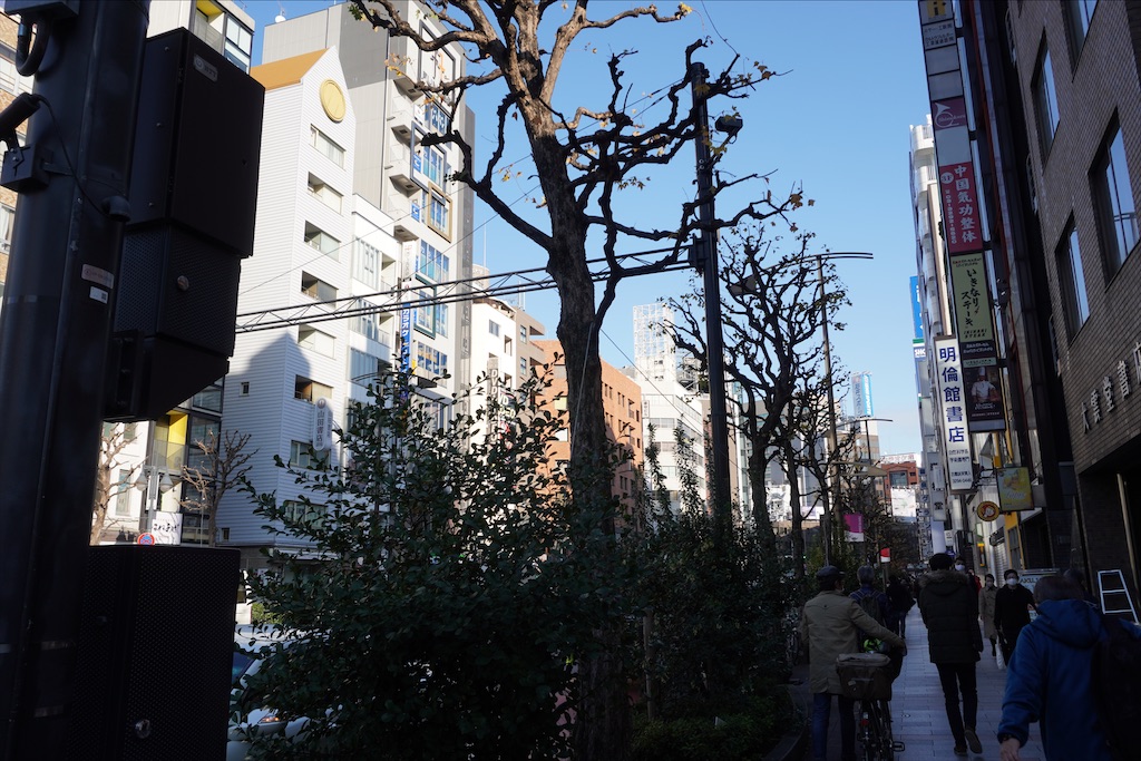 f:id:dnatsume:20201227191446j:image