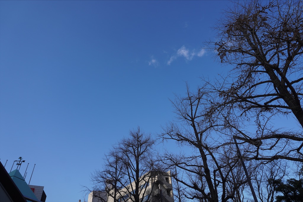 f:id:dnatsume:20201228192908j:image