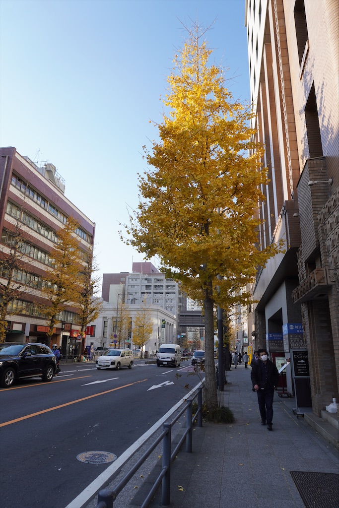 f:id:dnatsume:20201228192912j:image