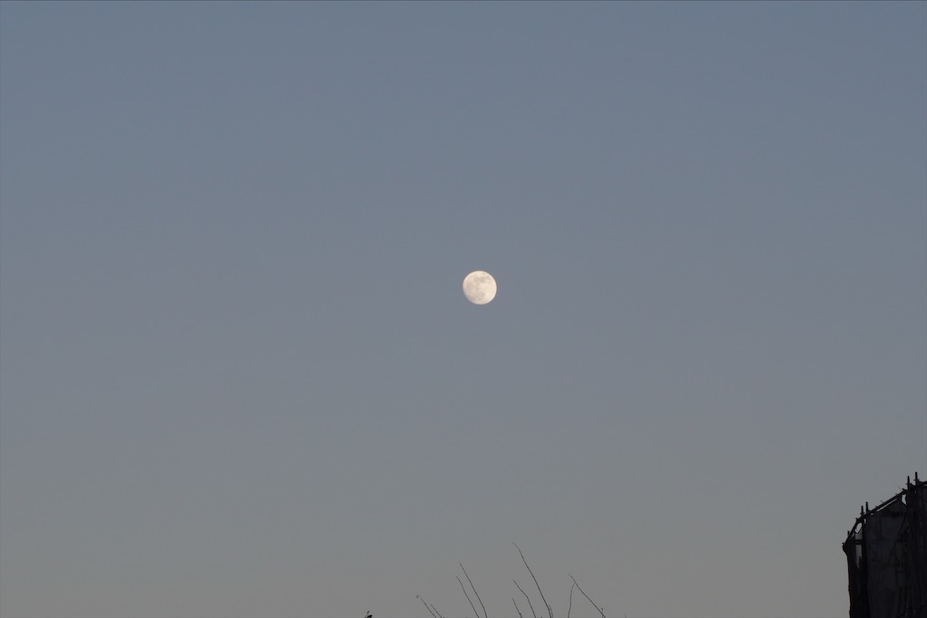 f:id:dnatsume:20201228192922j:image
