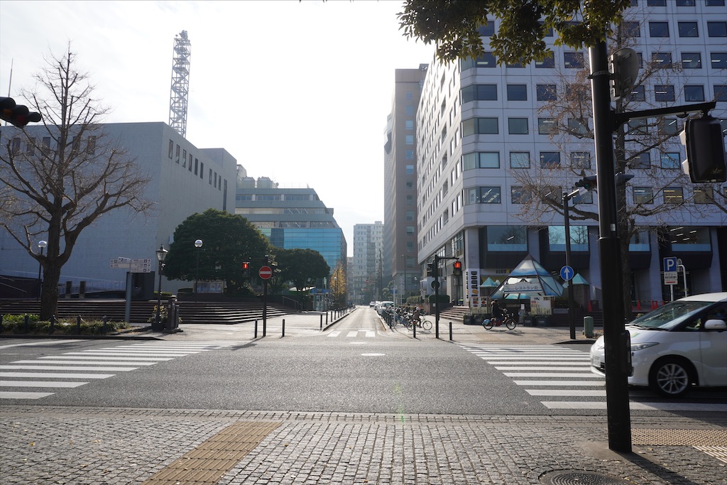 f:id:dnatsume:20201228192940j:image