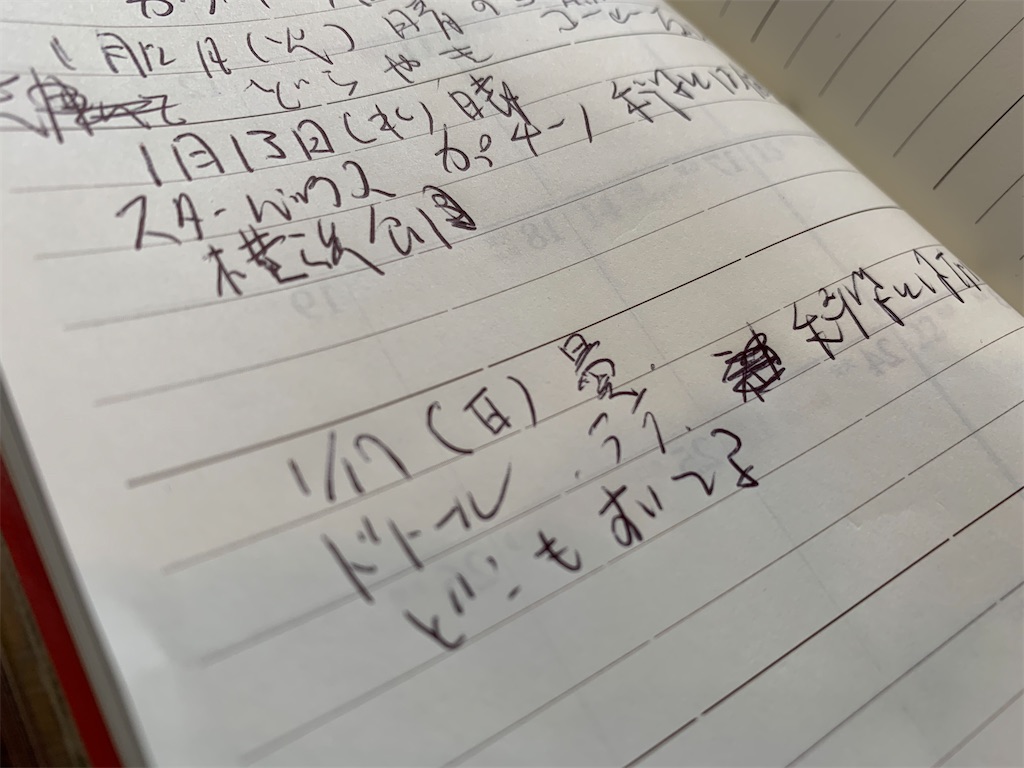 f:id:dnatsume:20210117160233j:image