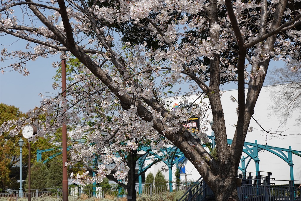 f:id:dnatsume:20210326221748j:image