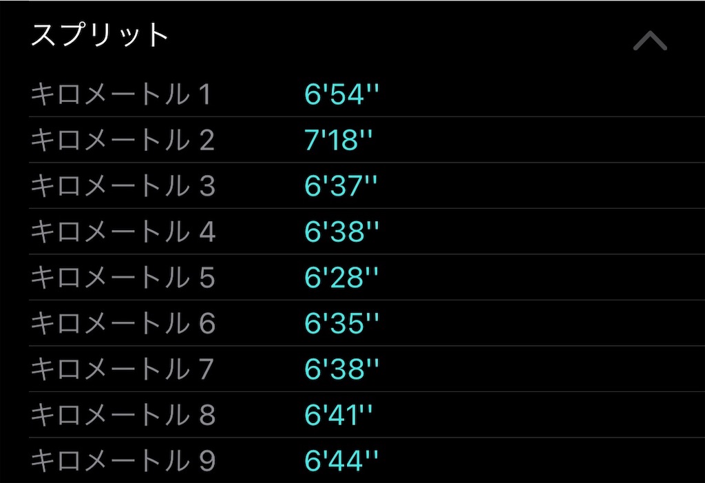 f:id:dnatsume:20210327183617j:image