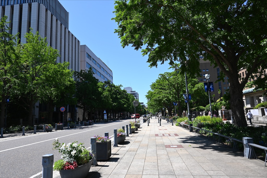 f:id:dnatsume:20210502204858j:image