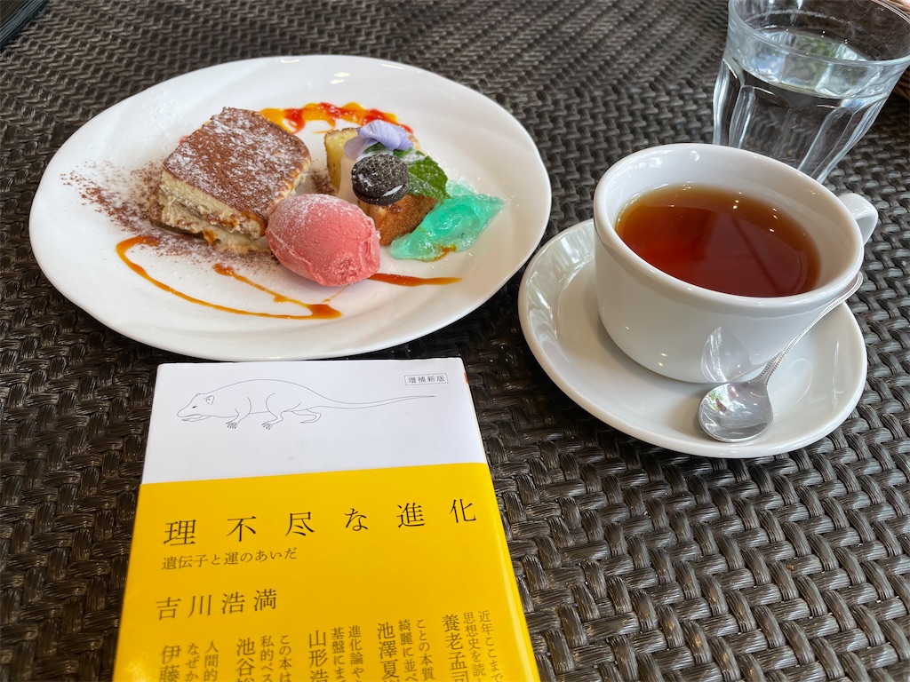 f:id:dnatsume:20210512192257j:image