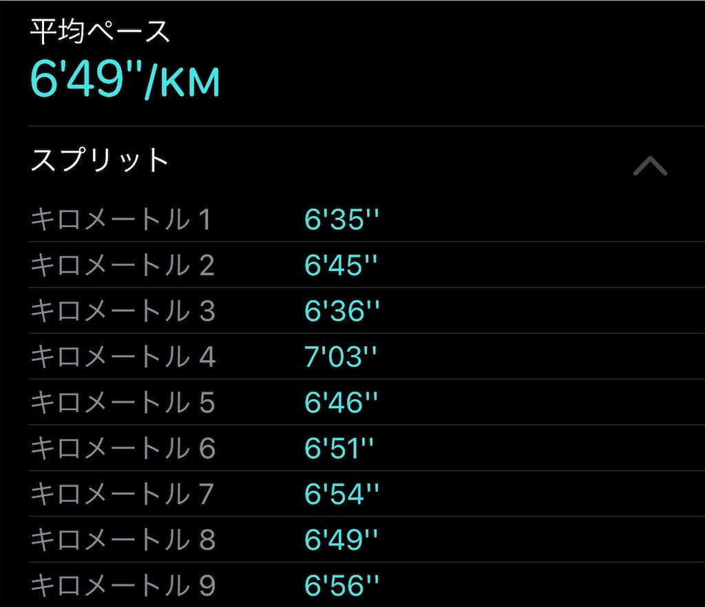 f:id:dnatsume:20210519191444j:image