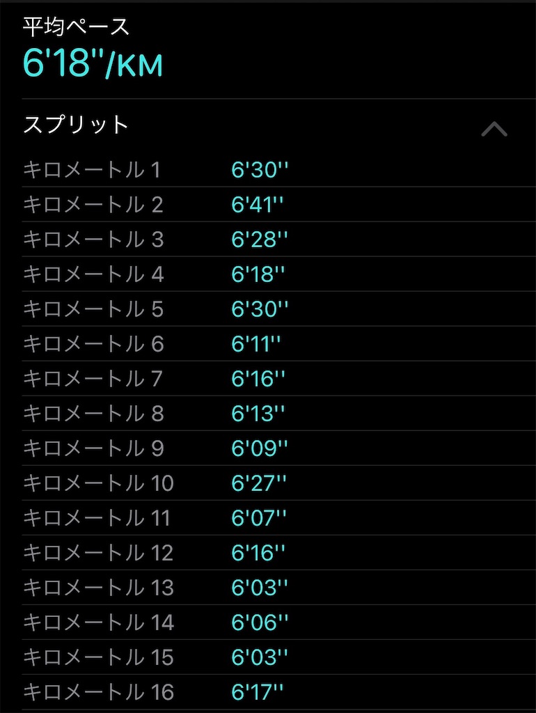 f:id:dnatsume:20210530193454j:image