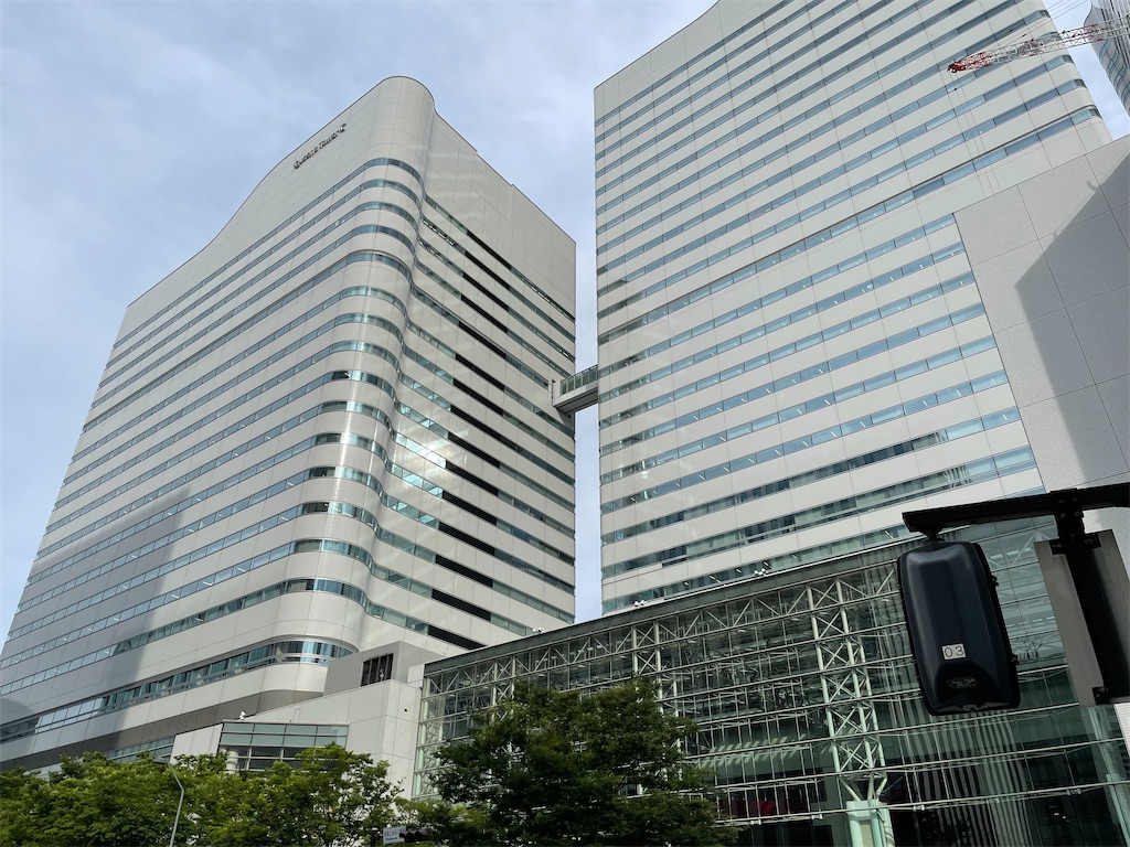 f:id:dnatsume:20210603213156j:image