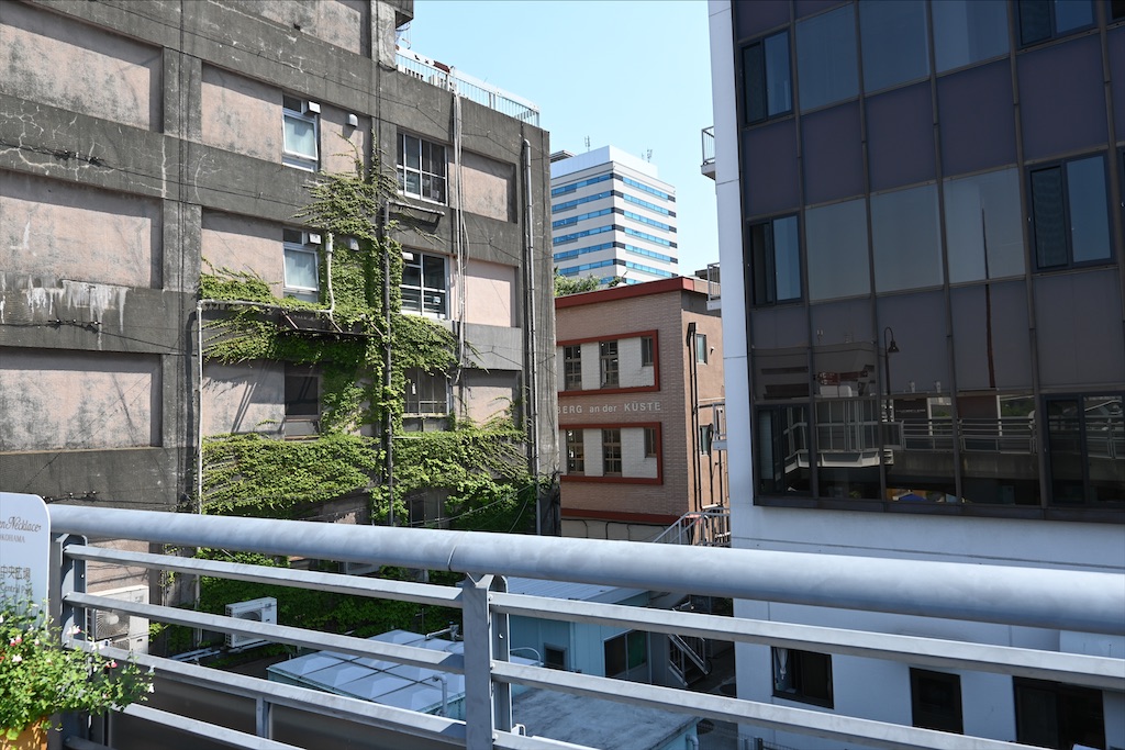 f:id:dnatsume:20210609212853j:image