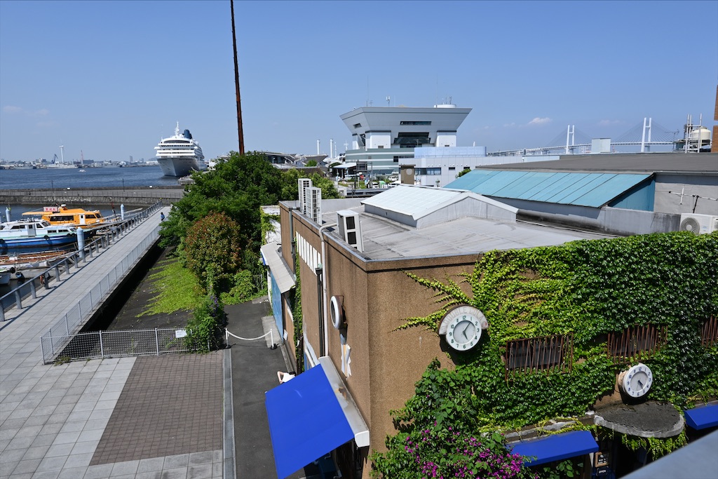 f:id:dnatsume:20210609212928j:image