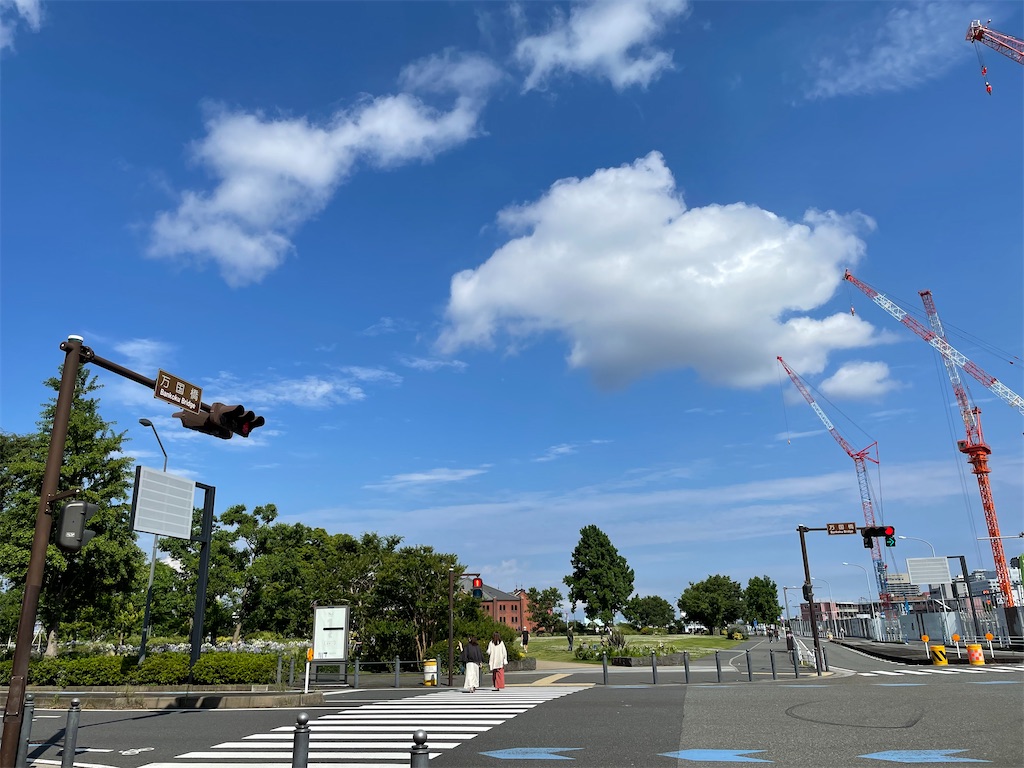 f:id:dnatsume:20210621224420j:image