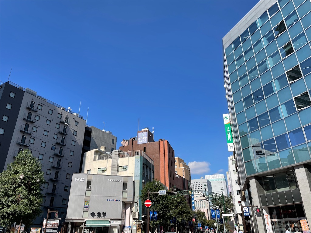 f:id:dnatsume:20211014220319j:image