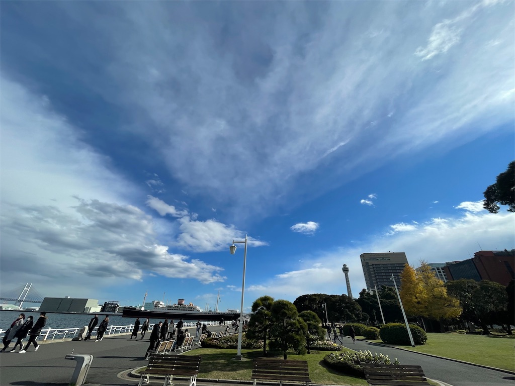 f:id:dnatsume:20211231230413j:image