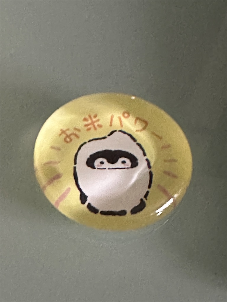 f:id:dnatsume:20241006210701j:image