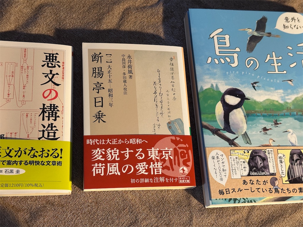 f:id:dnatsume:20241103134535j:image