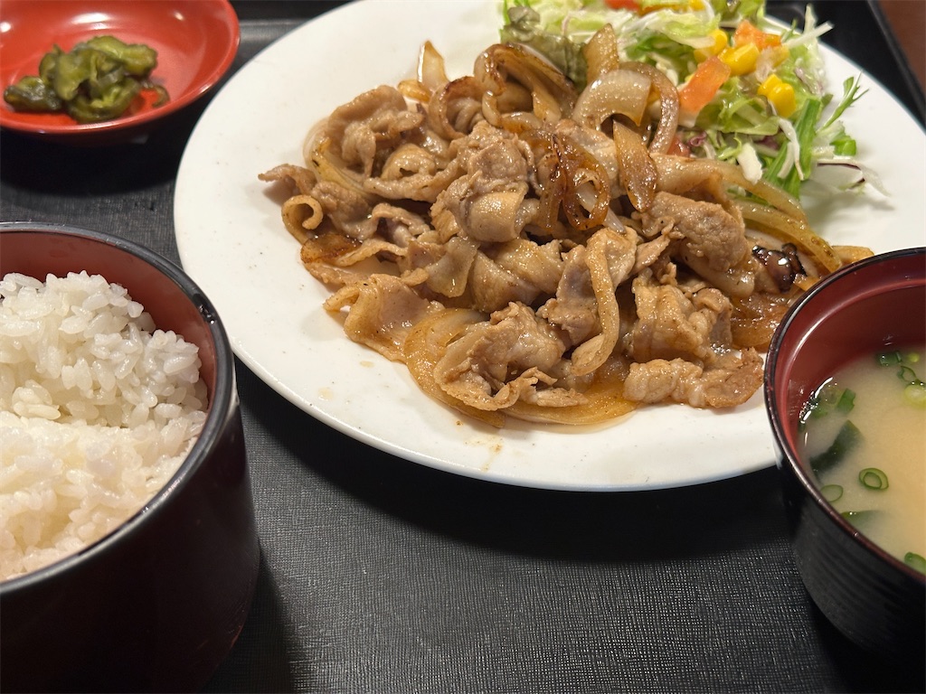 f:id:dnatsume:20241105130321j:image