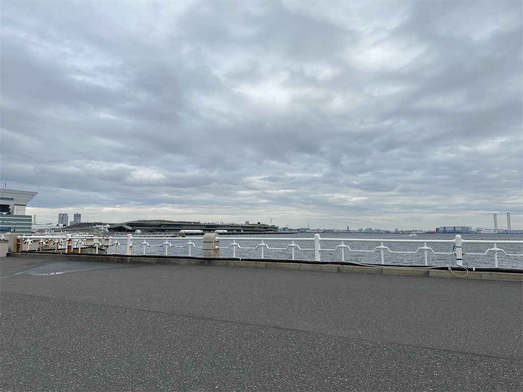 f:id:dnatsume:20241110103925j:image