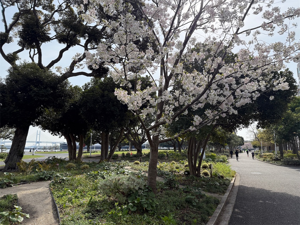 f:id:dnatsume:20250330102034j:image