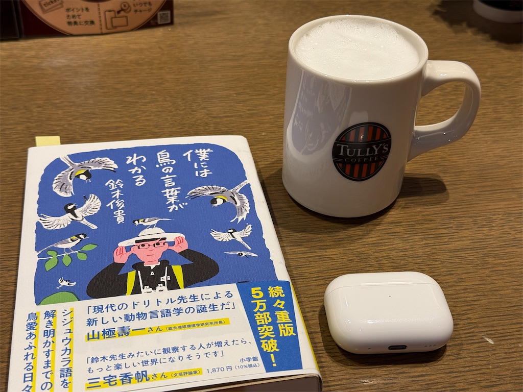 f:id:dnatsume:20250331134459j:image