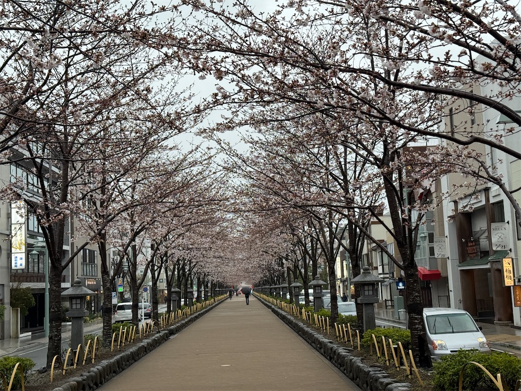 f:id:dnatsume:20250401172520j:image
