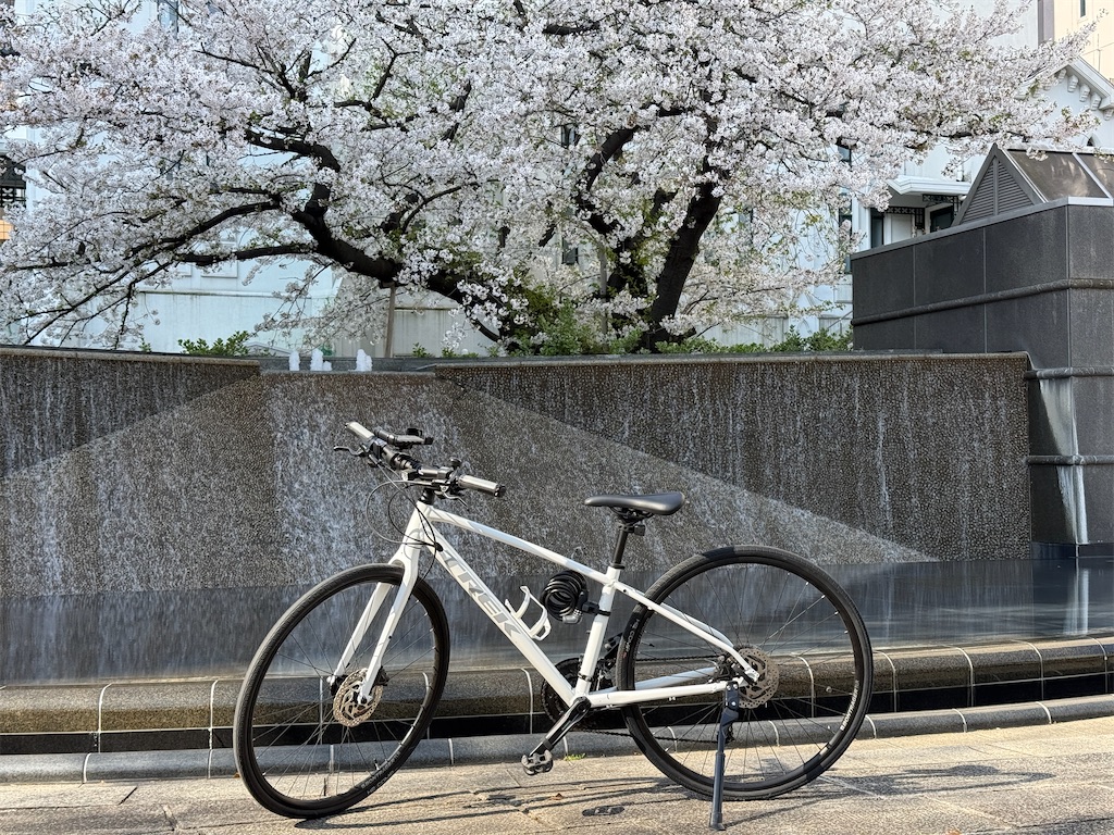 f:id:dnatsume:20250405090757j:image