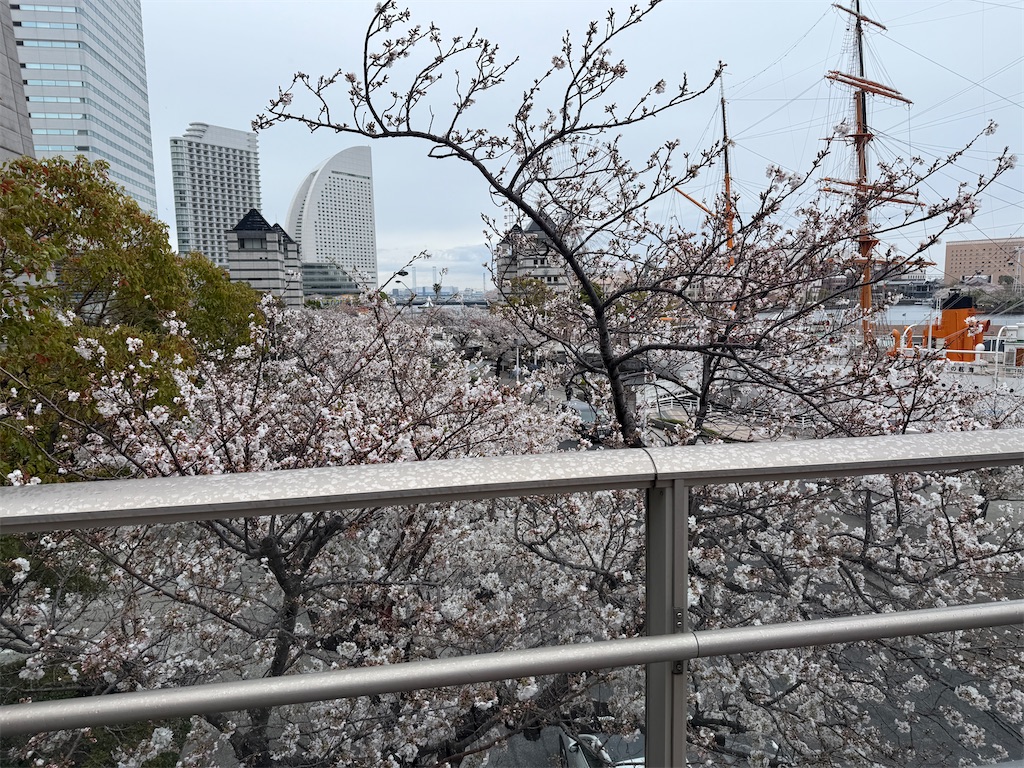 f:id:dnatsume:20250406180248j:image