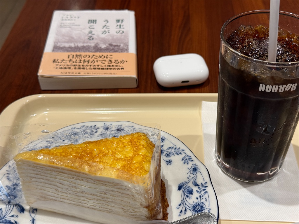 f:id:dnatsume:20250419223415j:image