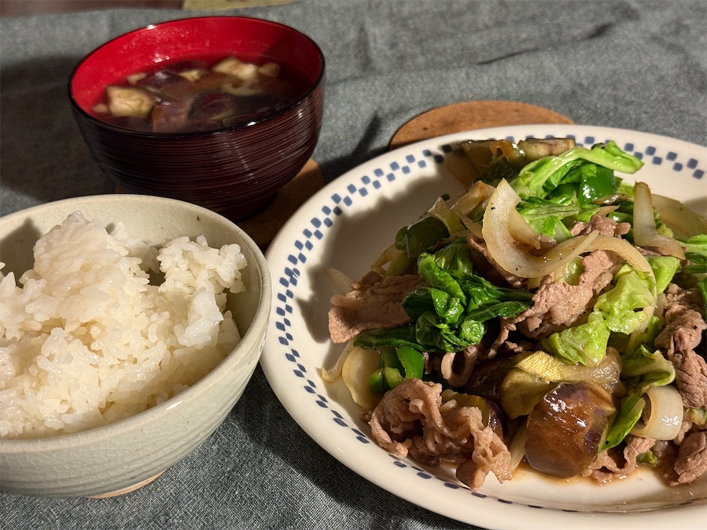 f:id:dnatsume:20250521225233j:image