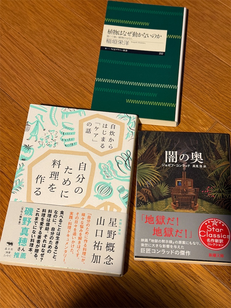 f:id:dnatsume:20250809212304j:image