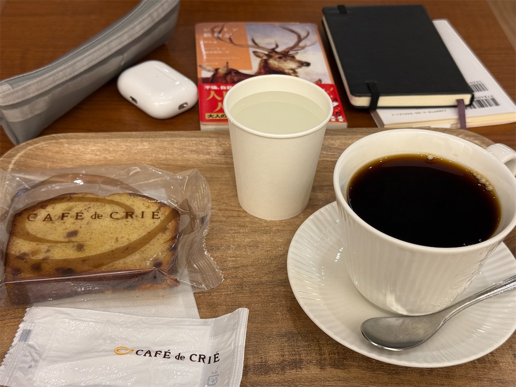 f:id:dnatsume:20250819205036j:image