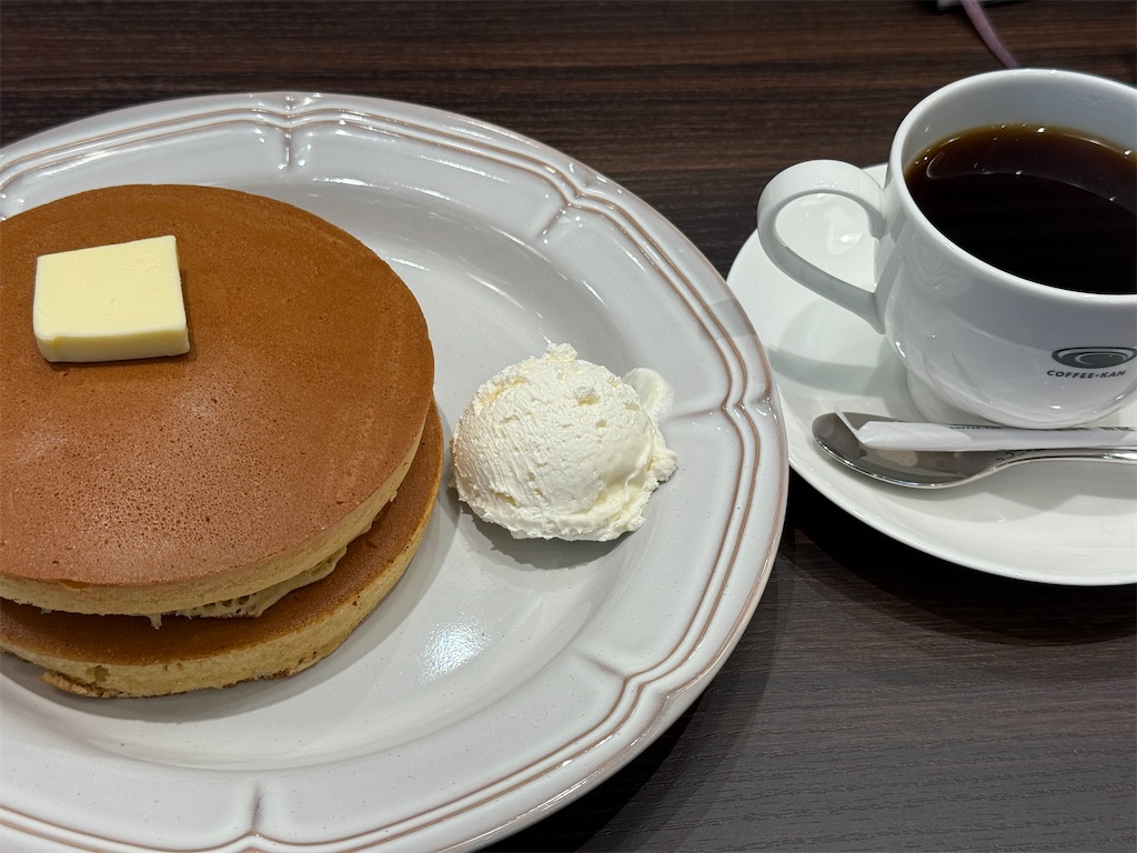 f:id:dnatsume:20250915222405j:image