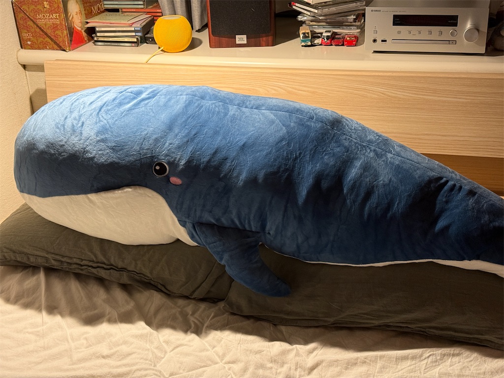 f:id:dnatsume:20250924225202j:image
