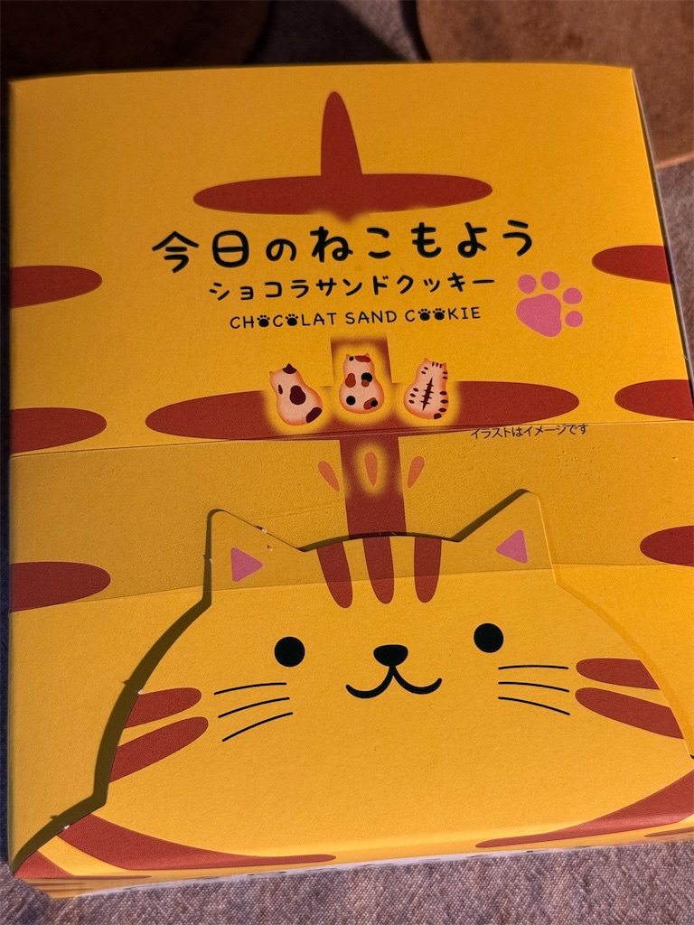 f:id:dnatsume:20251002211231j:image
