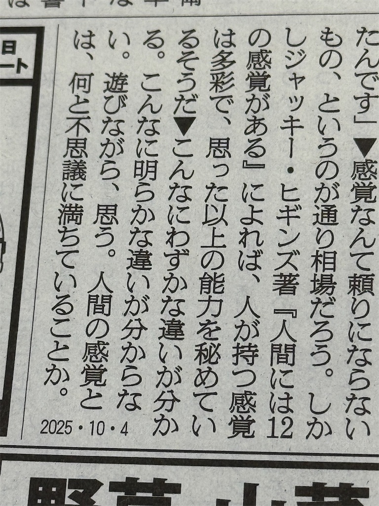 f:id:dnatsume:20251004224824j:image