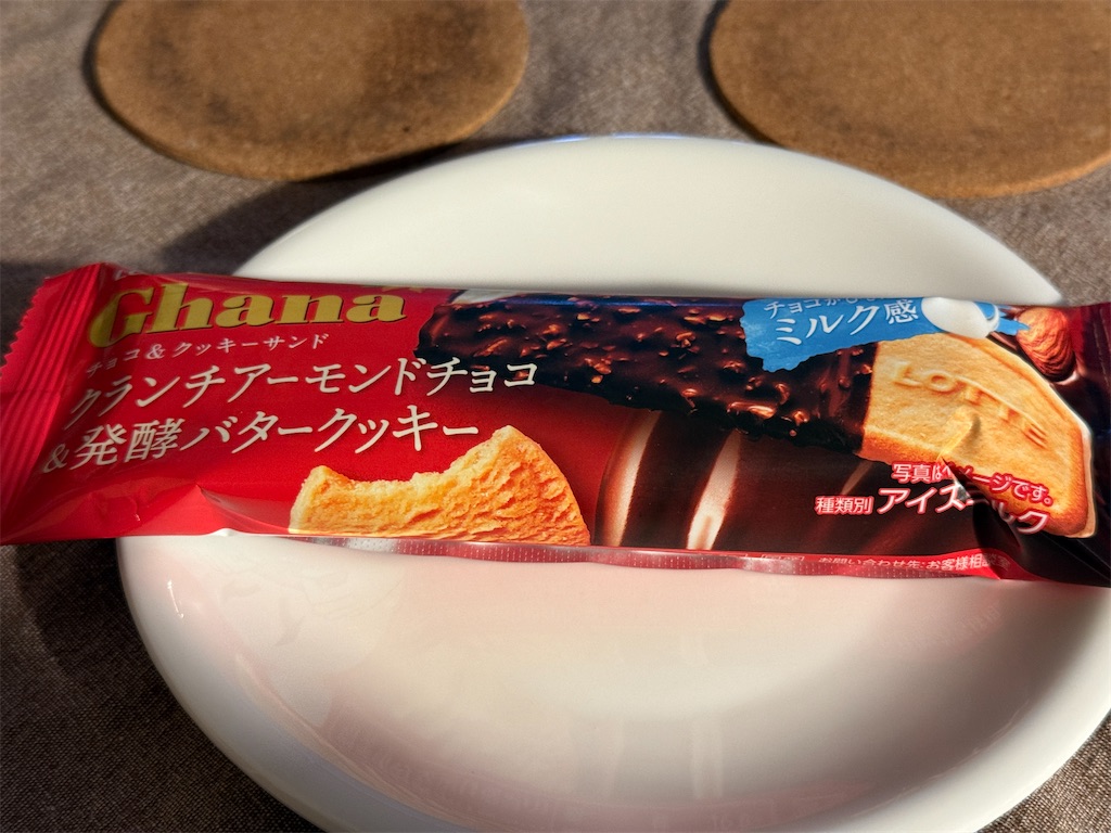 f:id:dnatsume:20251024214232j:image