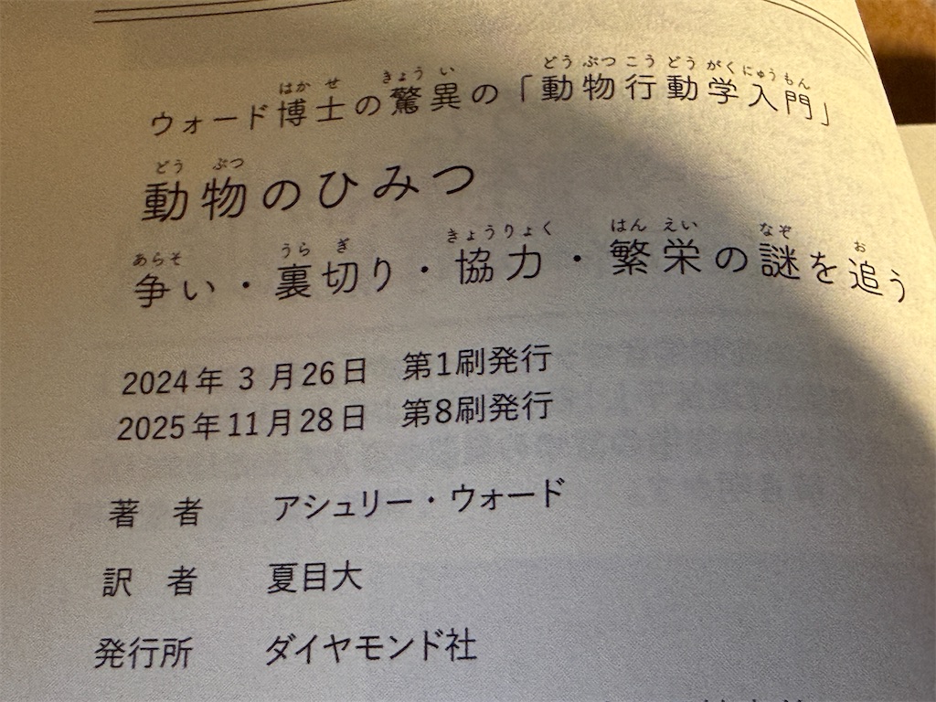 f:id:dnatsume:20251202214926j:image